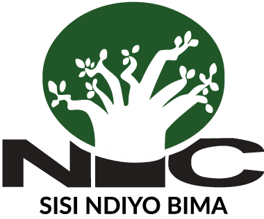 NIC Logo